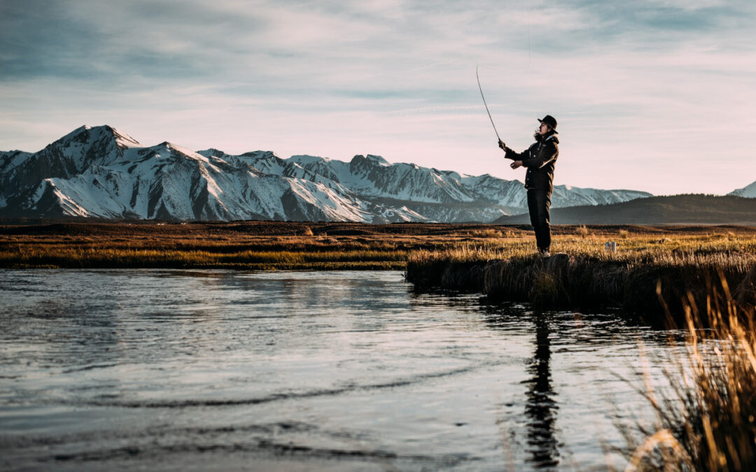 Trout Fishing Information