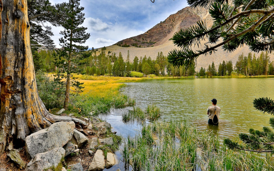 River Trout Fishing